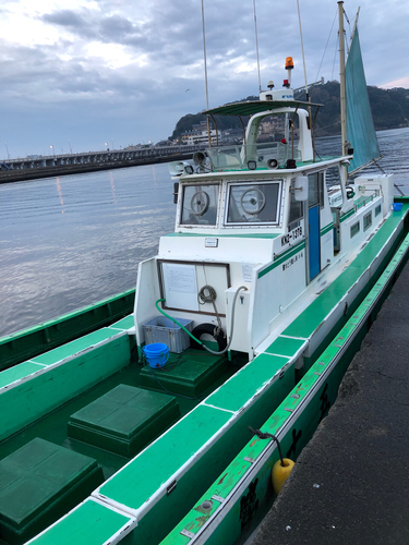 アマダイの釣果