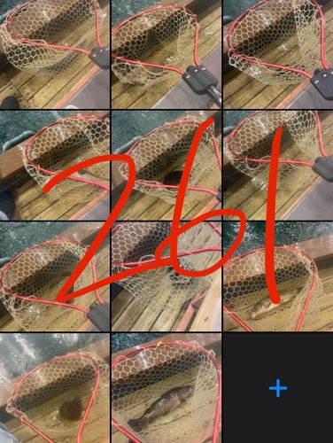 アミューズパーク福島スーパーフィッシング