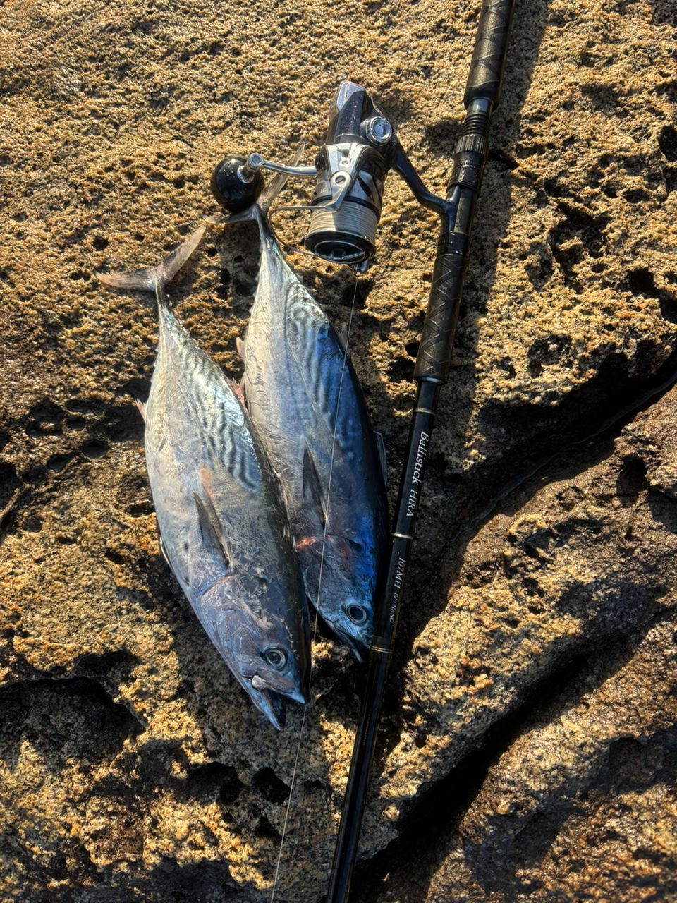 YAMAGA Blanks バリスティックヒラ TZ ナノ 107MHの最安値・インプレ