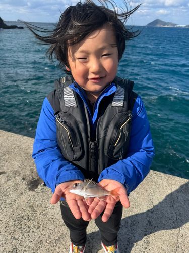 チャリコの釣果