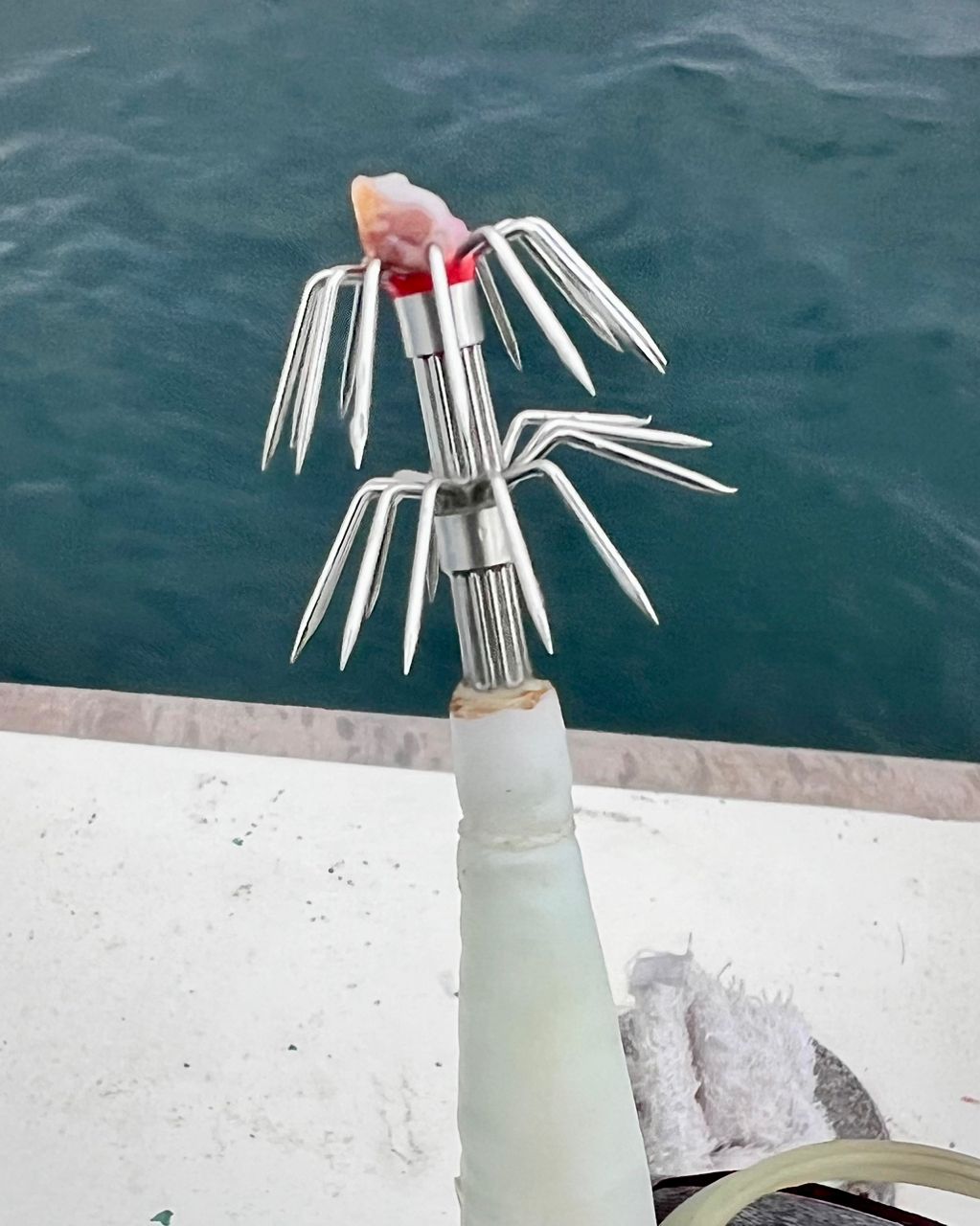 S46_トシさんの釣果 3枚目の画像