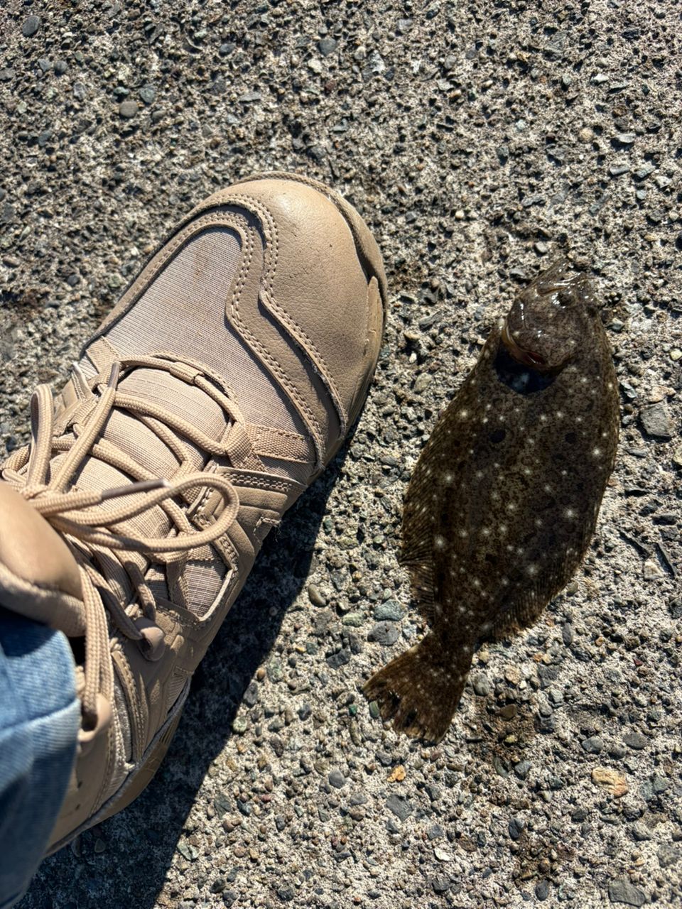 SHIMANO 21ソアレXR S48UL-Sの最安値・インプレ・釣果 | 本音の口コミ