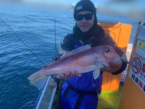 アマダイの釣果