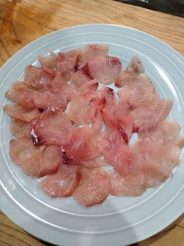 マブナの釣果