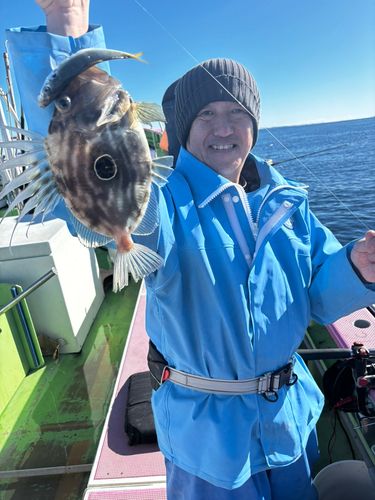 マトウダイの釣果