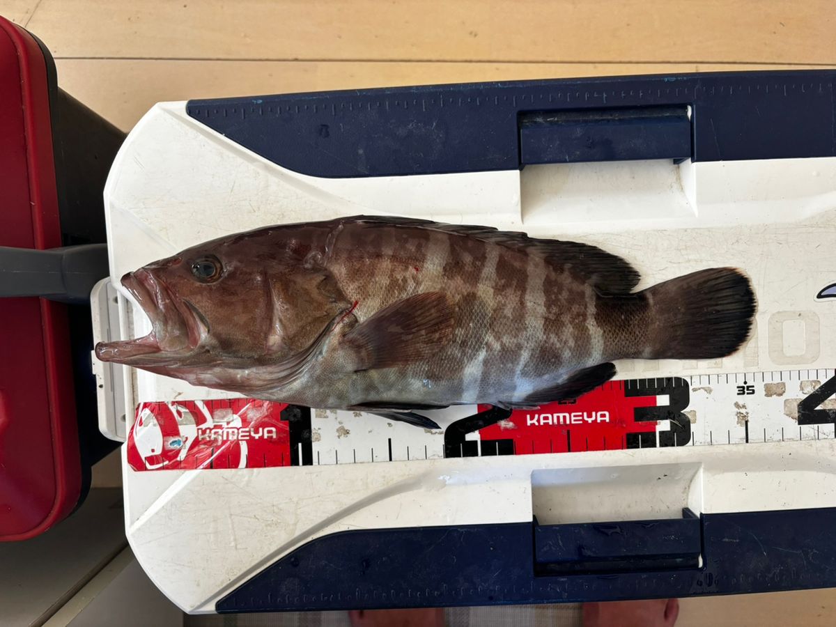 中川　晃一さんの釣果 2枚目の画像