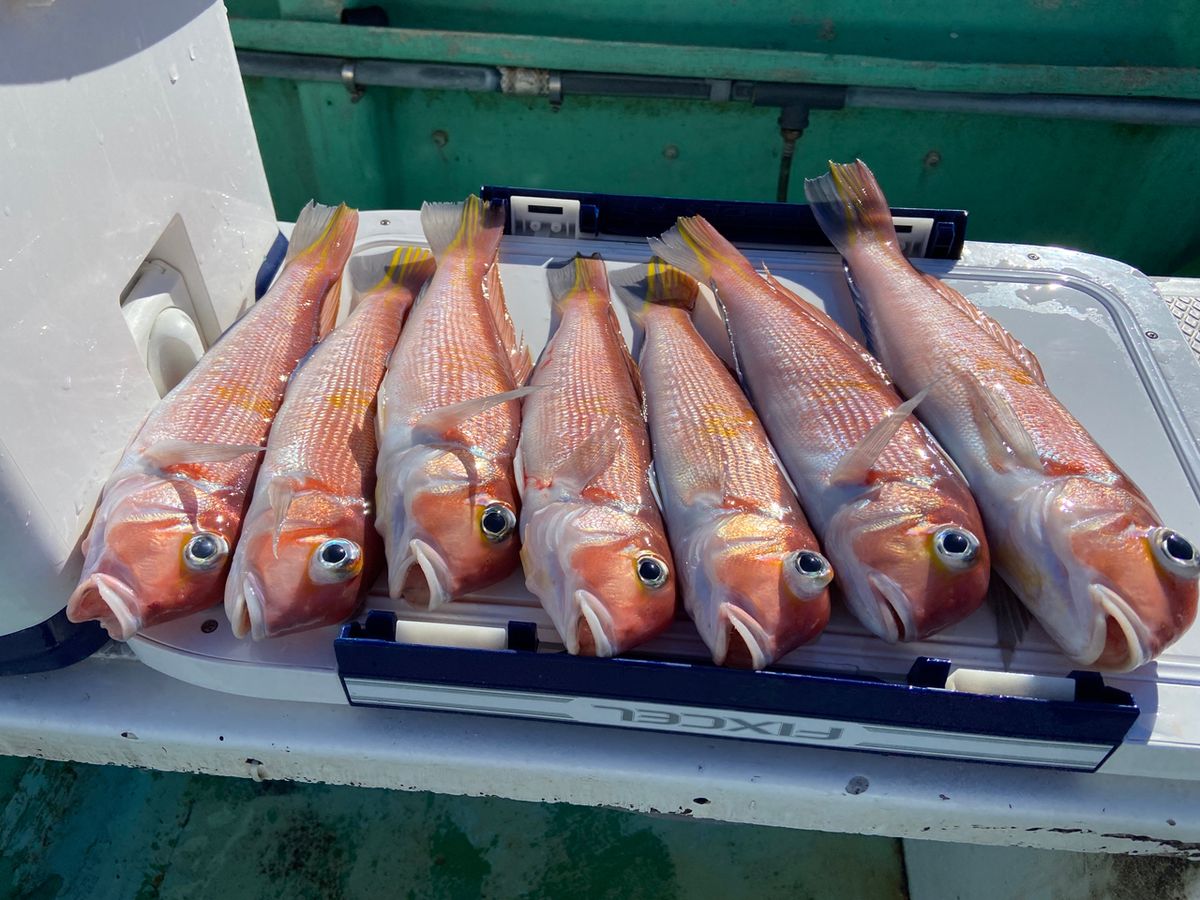 あまさけや丸/船長さんの釣果 3枚目の画像