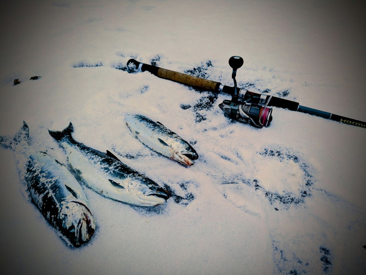 TULALA ハーモニクススタッカート MHSS-HX110 美品 手渡し可能 TULALA ハーモニクススタッカート MHSS-HX110 美品 手渡し可能