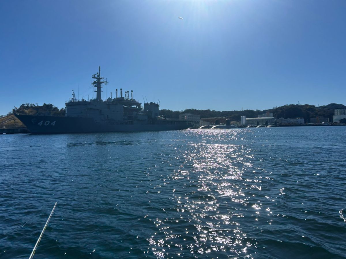 ROYAL entryさんの釣果 2枚目の画像