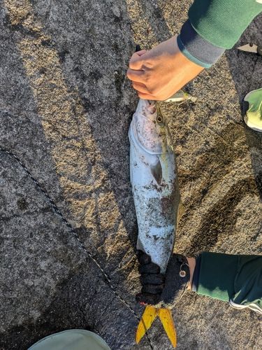 平川ヨットハーバー