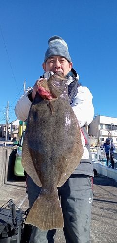 ヒラメの釣果