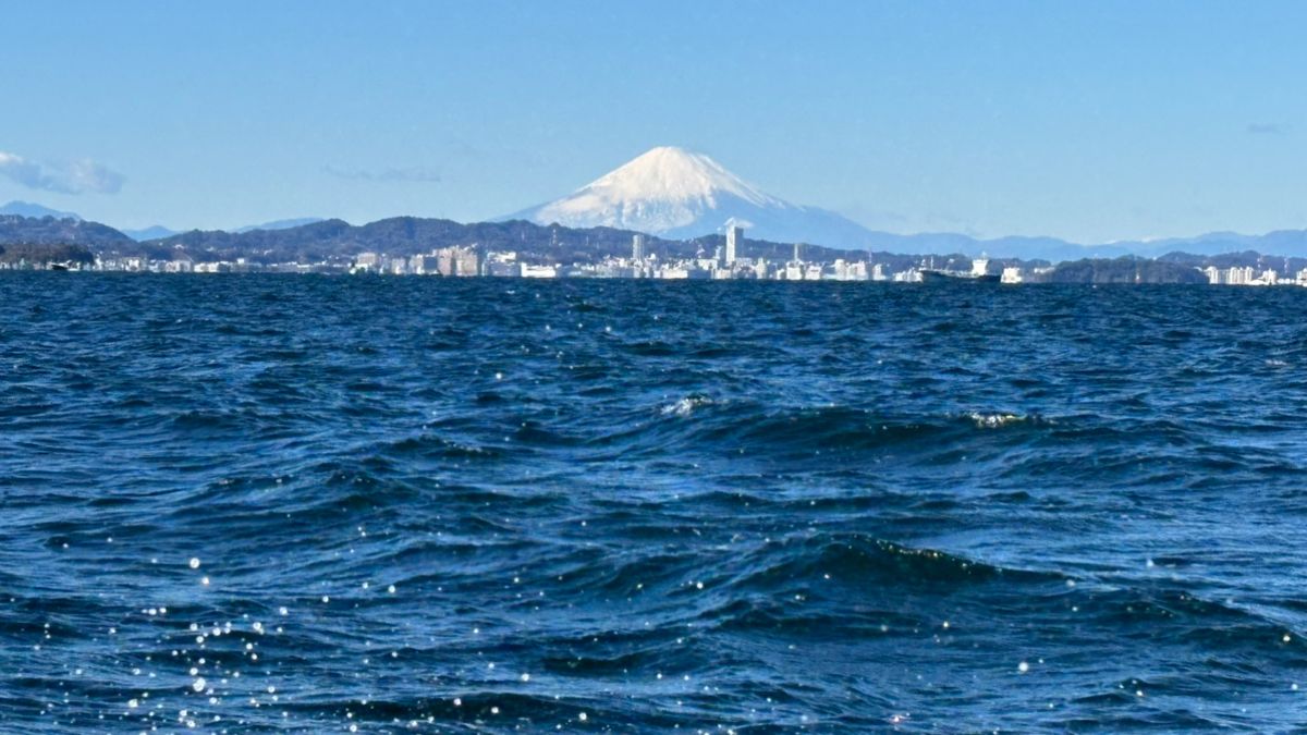 ヤス🌻さんの釣果 1枚目の画像