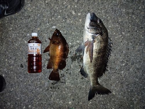 興津港海浜公園