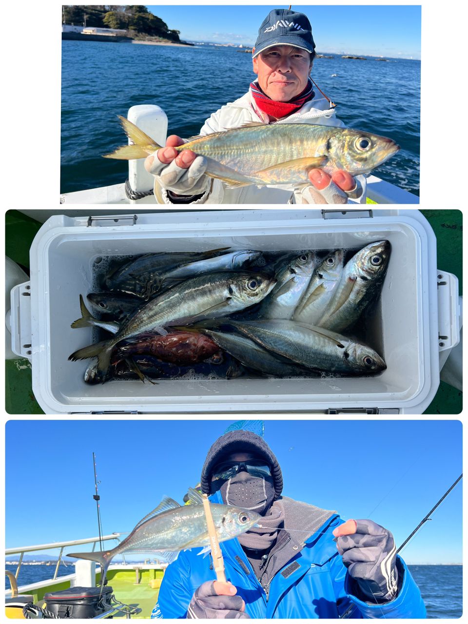 政信丸さんの釣果 1枚目の画像