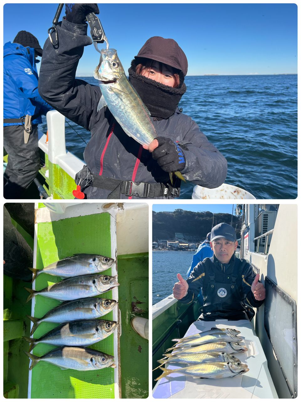 政信丸さんの釣果 2枚目の画像