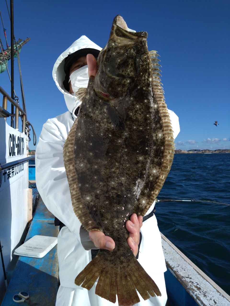三浦丸　船長さんの釣果 2枚目の画像