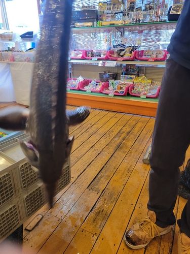 アミューズパーク会津