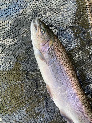 浜名湖フィッシングリゾート