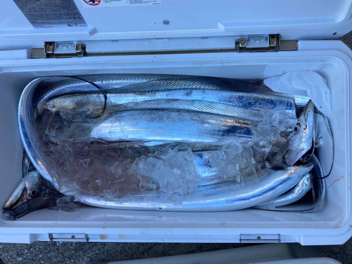 IMAKUN®︎さんの釣果 2枚目の画像