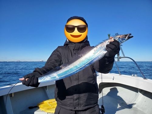 タチウオの釣果