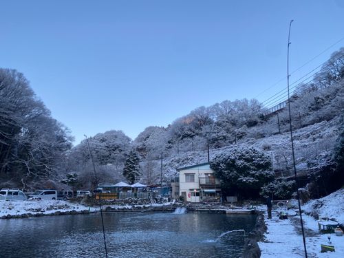 レインボートラウトの釣果