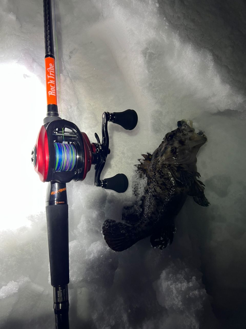 Jackson ロックトライブ RTC-808XHの最安値・インプレ・釣果 | 本音の