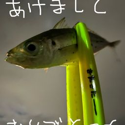 アジ