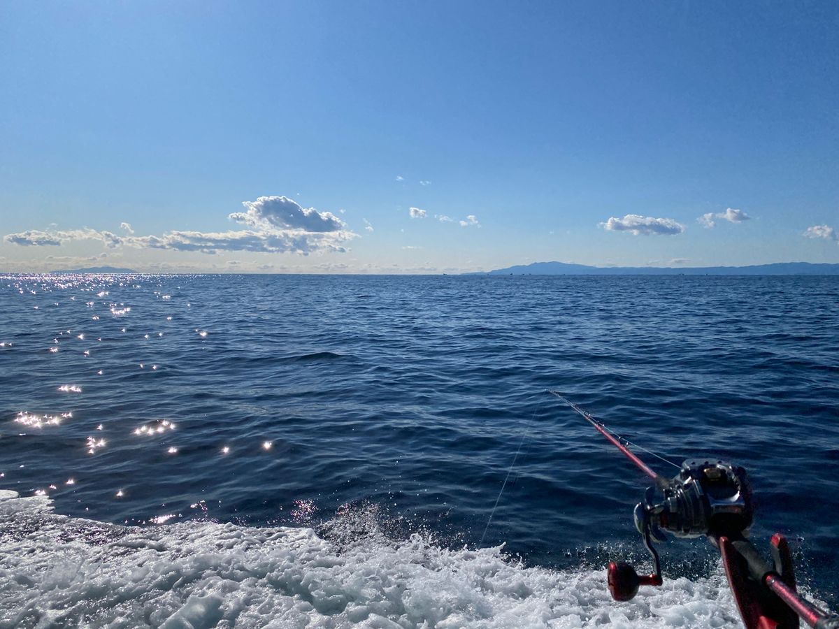 湘南のかつさんの釣果 2枚目の画像