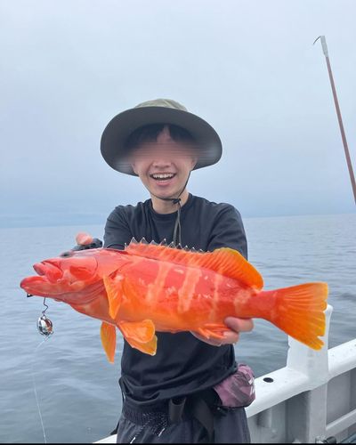 アカハタの釣果