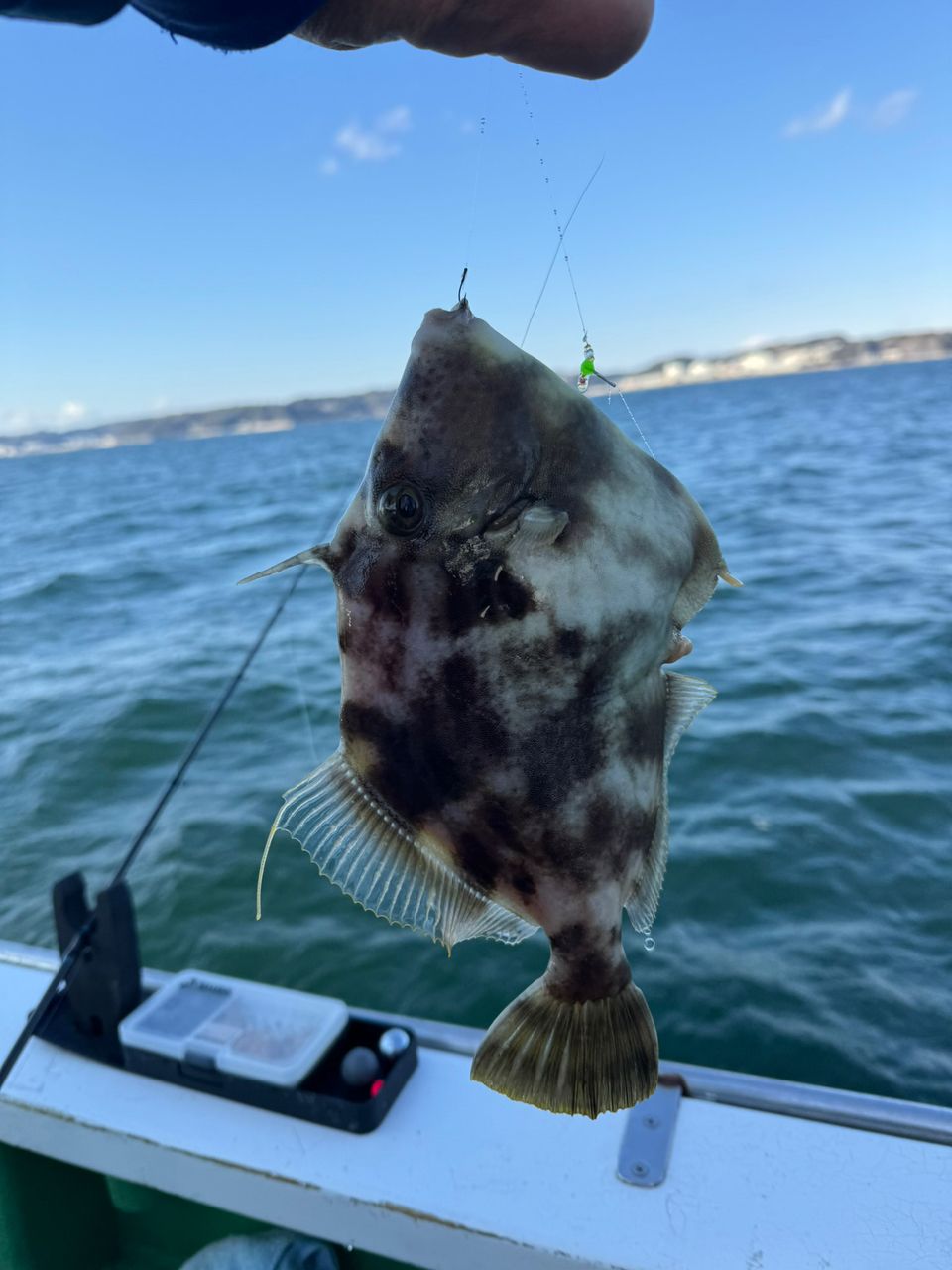 沖っぱり修行僧さんの釣果 1枚目の画像