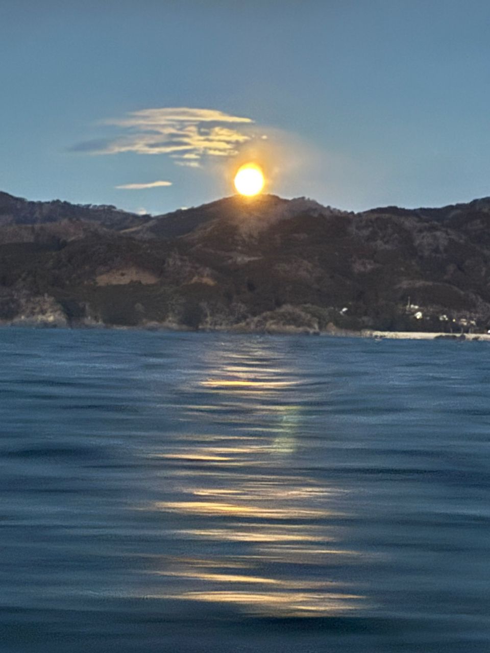 イカジロ–さんの釣果 2枚目の画像