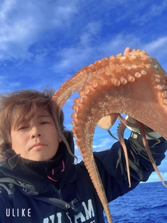 マダコの釣果