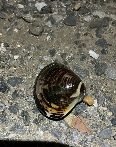 養老川臨海公園