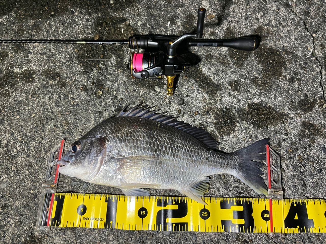 SHIMANO 21ソアレXR S54SUL-Sの最安値・インプレ・釣果 | 本音の口コミ