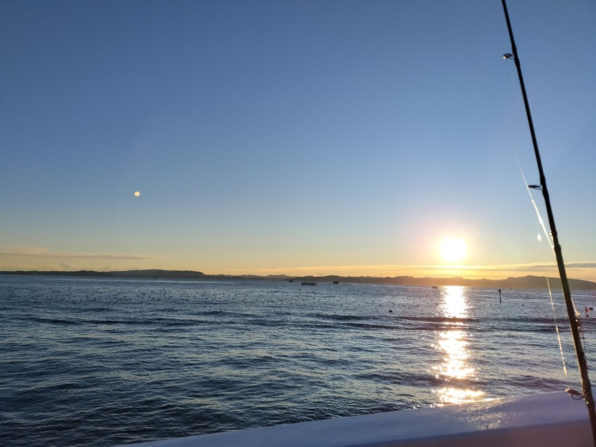 しん☆ちゃんさんの釣果 2枚目の画像