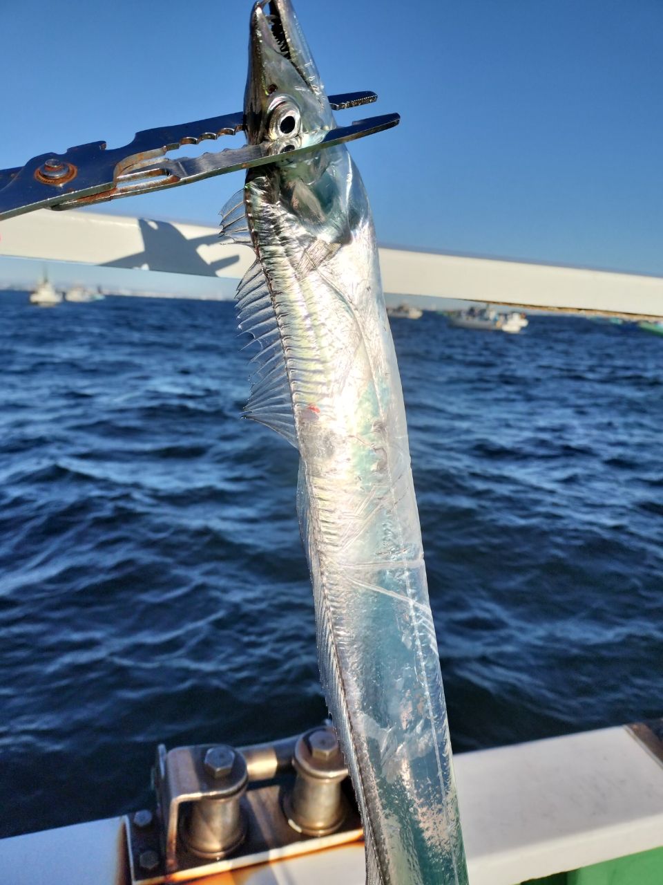 しん☆ちゃんさんの釣果 3枚目の画像