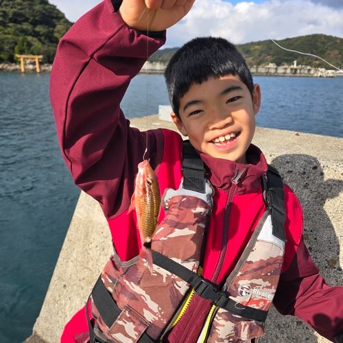 オキナヒメジの釣果