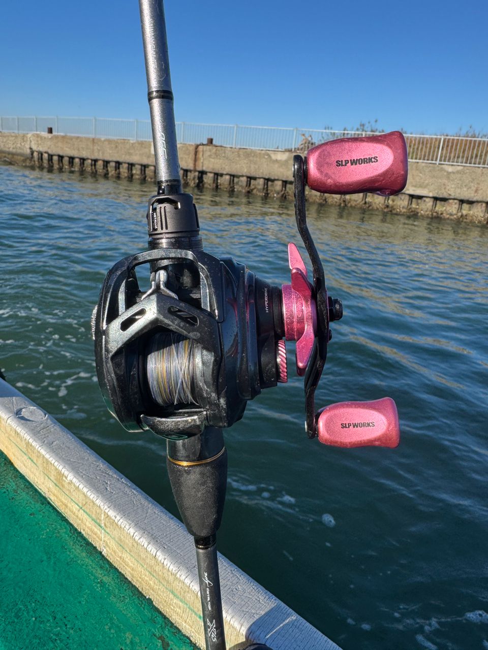 ゆうりまるせんちょさんの釣果 3枚目の画像