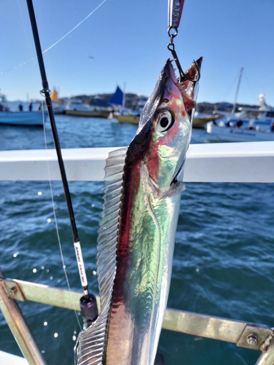 しん☆ちゃんさんの釣果 1枚目の画像