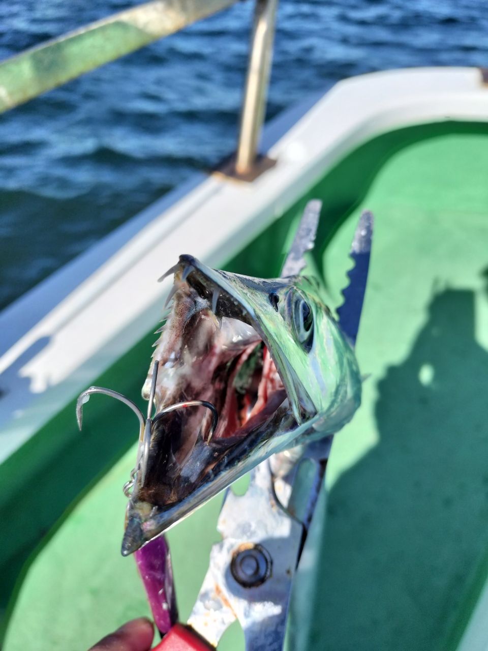 しん☆ちゃんさんの釣果 2枚目の画像