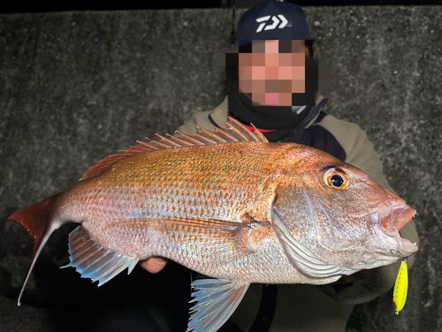 宇品波止場公園