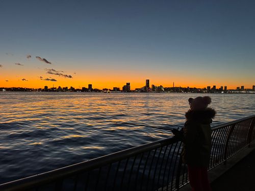 コノシロの釣果