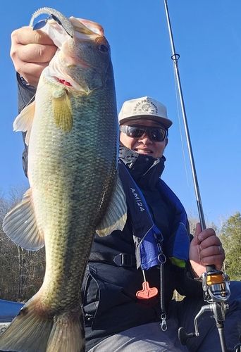 ラージマウスバスの釣果