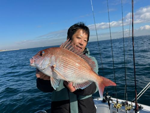 マダイの釣果
