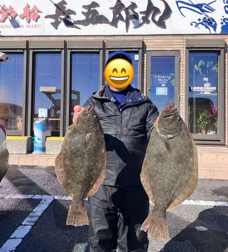 ヒラメの釣果