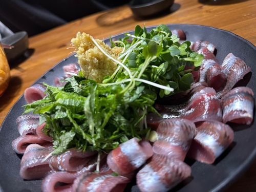 マイワシの釣果