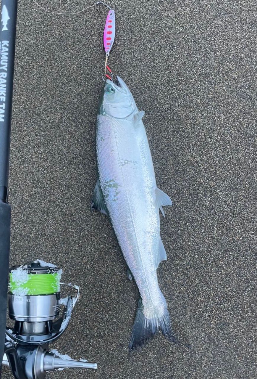 DAIWA 22カムイランケタム 106L+/M AGSの最安値・インプレ・釣果