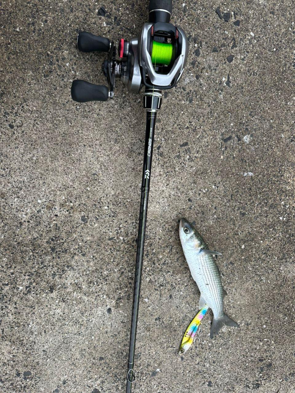 SHIMANO 21スコーピオン DC 150HG RIGHTの最安値・インプレ・釣果