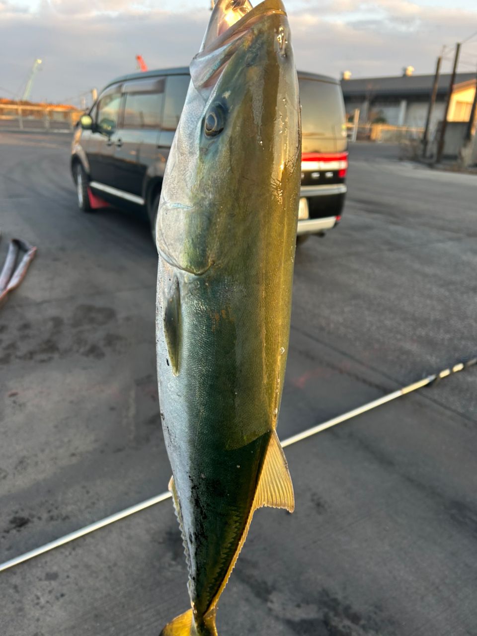 AbuGarcia XROSSFIELD XRFS-1062H アブガルシア アブガルシア(Abu Garcia) XROSSFIELD(クロスフィールド) XRFC-662ML