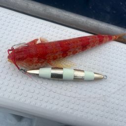 ミナミアカエソ